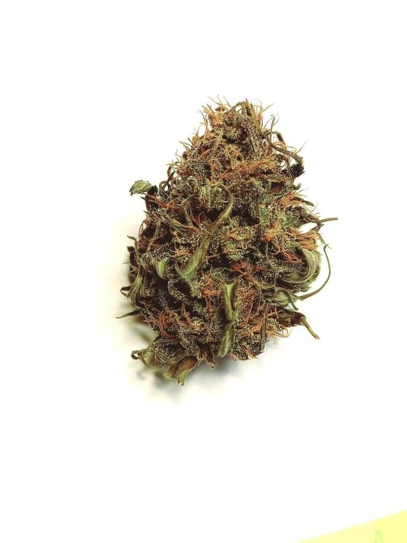Fleur CBD Western Cherry 1