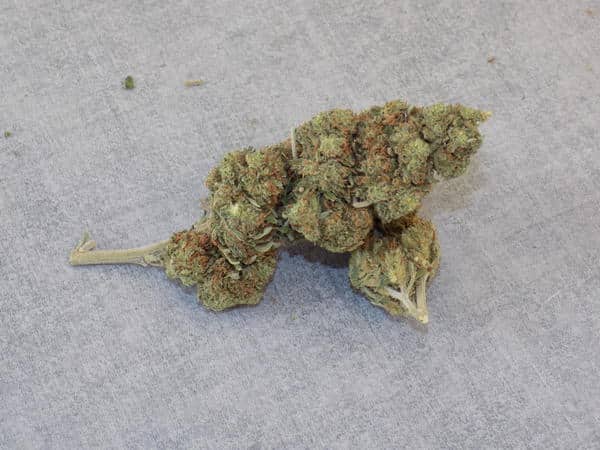 Fleur CBD détente Hautes-Alpes