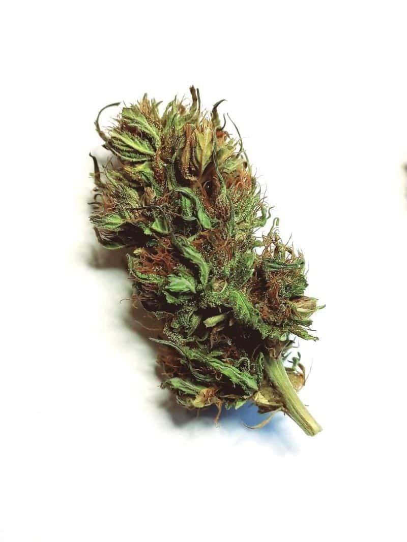 fleur CBD sommeil profond Arizona Dream