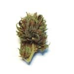 Fleur Arizona Dream cbd sommeil profond
