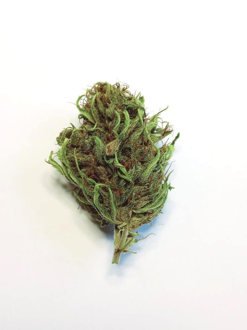 CBD douleur Fleur Enectaliana