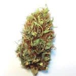 Fleur CBD Enectarol meilleur cbd anti douleur