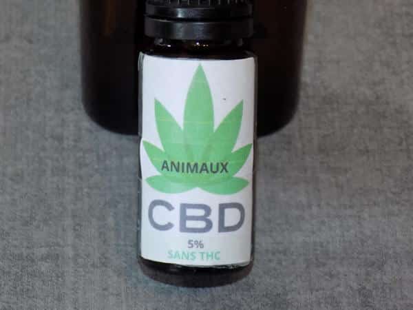Huile cbd pour animaux
